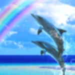 Logo of Dolphin Rainbow Trial android Application 